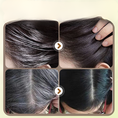 Šukos aplikatorius momentiniam žilų plaukų dažymui